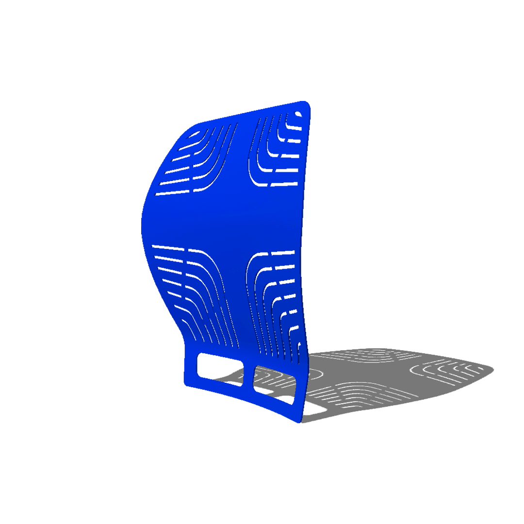 Back Jamp / Cojín lumbar esclusive